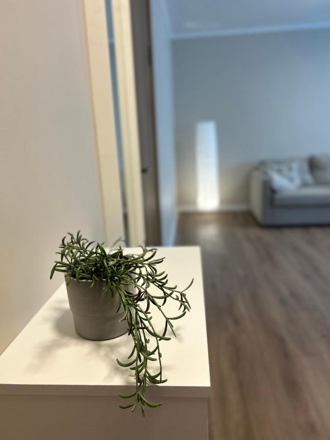 Skandi Appartments In Saldus City Center Bagian luar foto