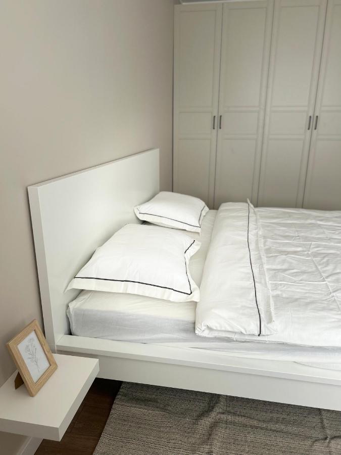 Skandi Appartments In Saldus City Center Bagian luar foto