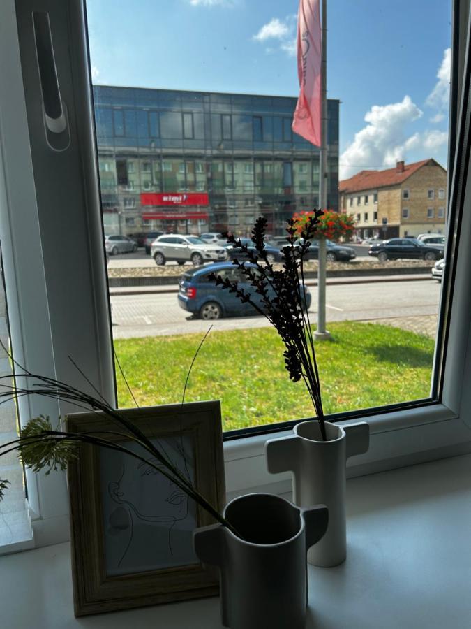 Skandi Appartments In Saldus City Center Bagian luar foto